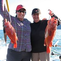 Carol Glass Photo 31