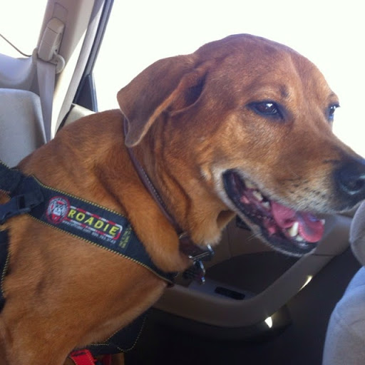 Claudia White Photo 41