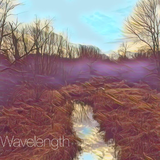 Nick Tidwell Photo 4