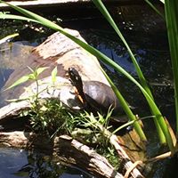 Steve Conley Photo 22