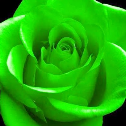 Juliet Fuentes Photo 16