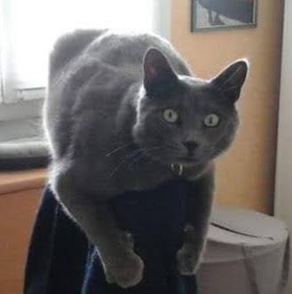 Brigitte Simon Photo 3