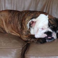 Evelyn Quijada Photo 6