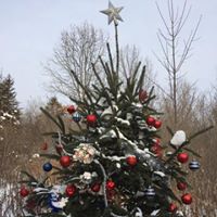 Nancy Hardman Photo 22