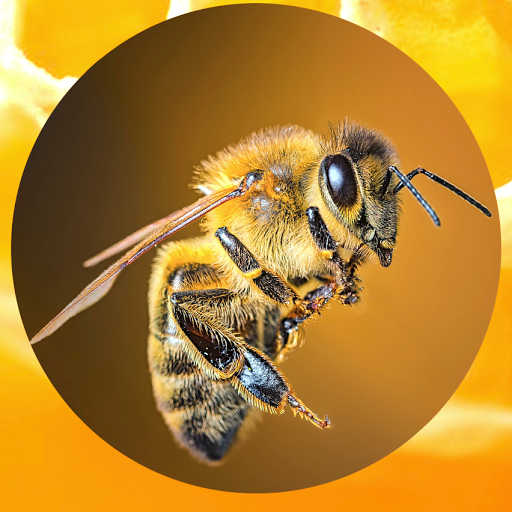 Michael Tighe Photo 31