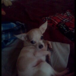 Douglas Snyder Photo 16