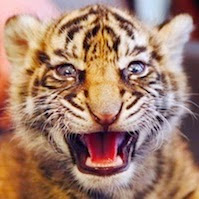 Ryan Whaley Photo 26