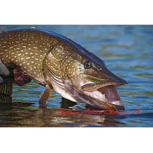 Rick Summers Photo 33