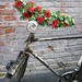 Karen Gabel Photo 19