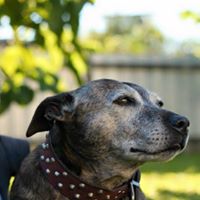 Robyn Hutchinson Photo 10