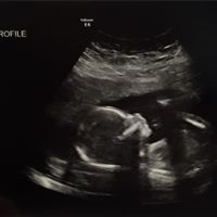 Pamela Lucas Photo 27