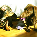 Janet Wiener Photo 6