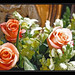 Robert Roberto Photo 38