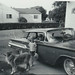 Tammy Freel Photo 13