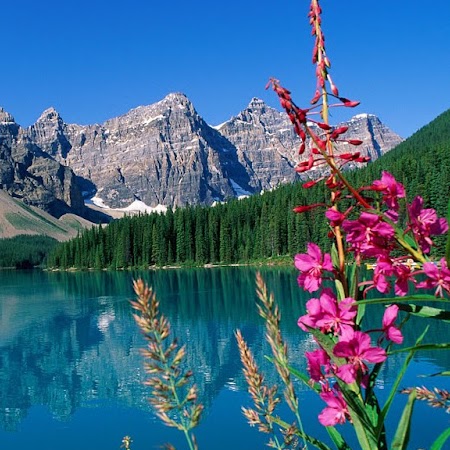 Jeannette Mendez Photo 13