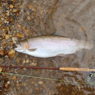 Tom Mccool Photo 11
