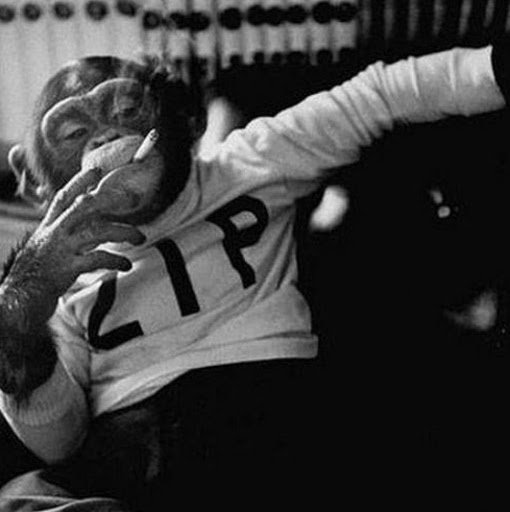 Michael Pierson Photo 24