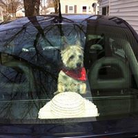 Jeanne Ferris Photo 18