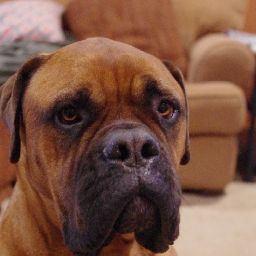 Jason Fuentes Photo 5