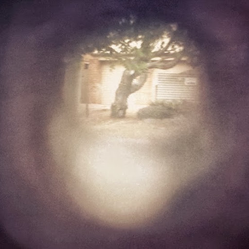 Leona Stevens Photo 4