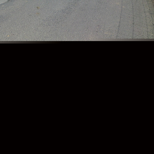 Michele Hartmann Photo 5