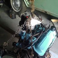 Robert Dietz Photo 26