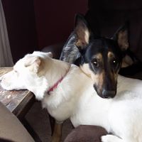 Tracy Mason Photo 17