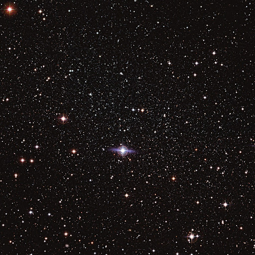 Desiree Johnson Photo 24