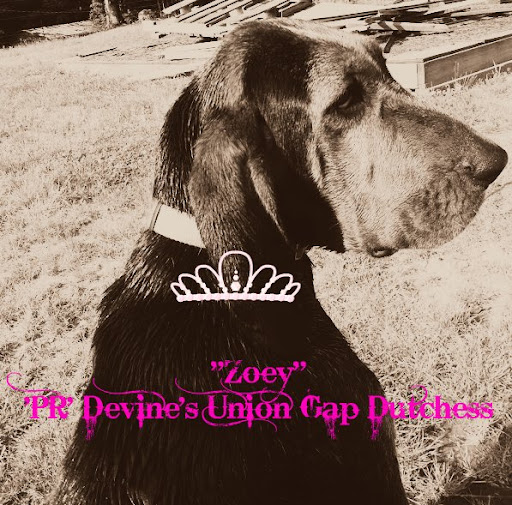 Diane Devine Photo 3