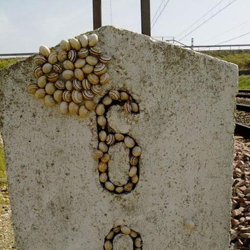 Miguel Adan Photo 13