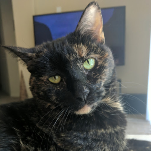 Jackie Sutton Photo 31