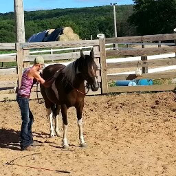 Lisa Dewitt Photo 15