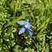 Verna Moss Photo 19