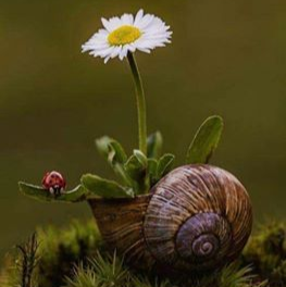 Traci Walker Photo 28