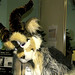 Deborah Winston Photo 9