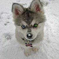 Sherri Lowe Photo 14