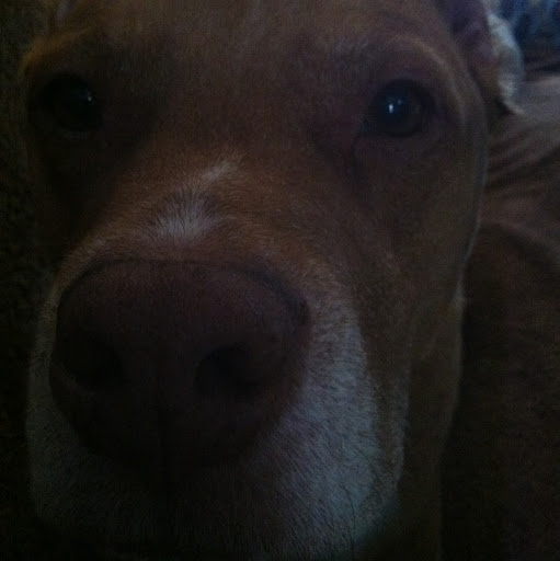 Scott Crumrine Photo 13