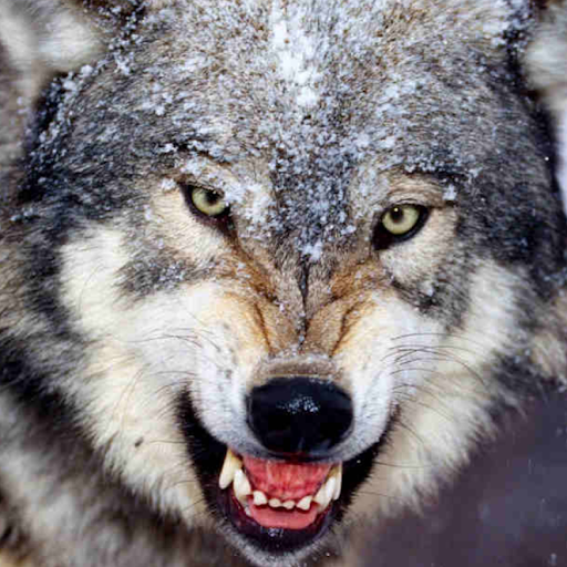 Ken Summers Photo 13 Ken Summers Photo 13