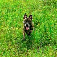 Benjamin Hendrickson Photo 17