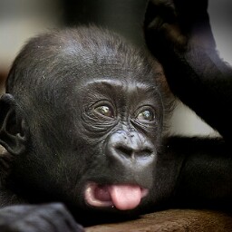 Janet Briggs Photo 32