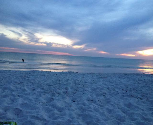Carole Leonard Photo 8