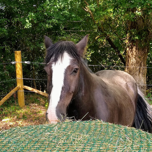 Julie Bonner Photo 20
