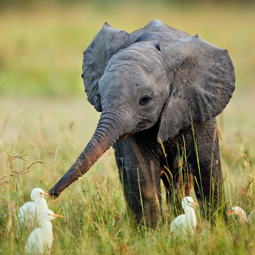 Stephanie Sullivan Photo 15