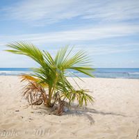 Mike Lynch Photo 17 Mike Lynch Photo 17