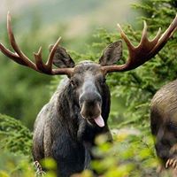 Bobbi Peters Photo 7