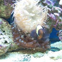 Richard Ritter Photo 24