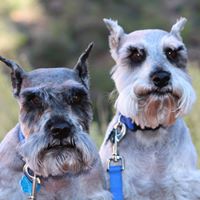 Martha Garner Photo 27