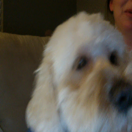 Michelle Walsh Photo 13 Michelle Walsh Photo 13