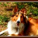 Bobbie Wells Photo 33