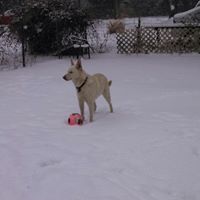 Deborah Rae Photo 11